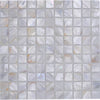 Muschel Mosaikfliese Pearl White Shell 300x300 mm