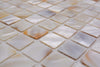 Muschel Mosaikfliese Pearl White Shell 300x300 mm Online Plättli