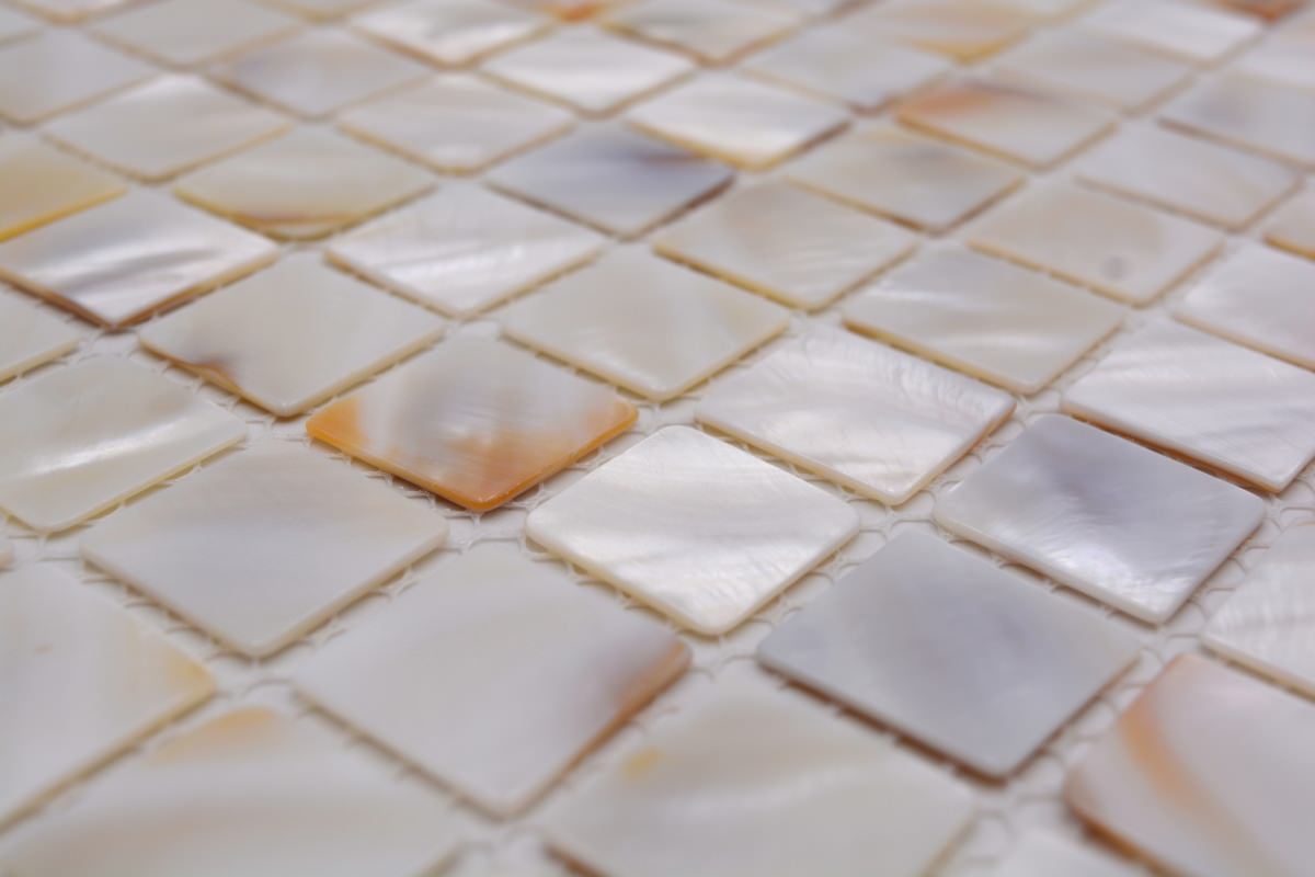 Muschel Mosaikfliese Pearl White Shell 300x300 mm Online Plättli