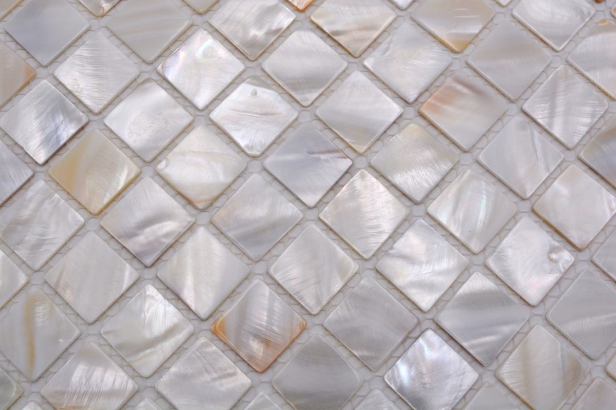 Muschel Mosaikfliese Pearl White Shell 300x300 mm Plättli