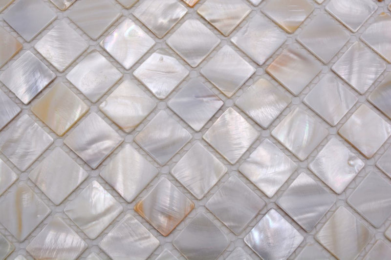 Muschel Mosaikfliese Pearl White Shell 300x300 mm Plättli