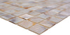 Muschel Mosaikfliese Pearl White Shell 300x300 mm Plättli Schweiz
