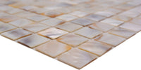 Muschel Mosaikfliese Pearl White Shell 300x300 mm Plättli Schweiz