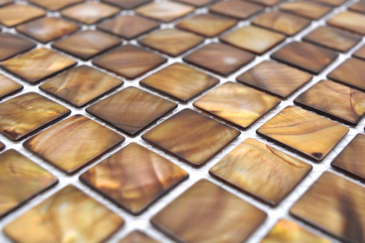 Muschel Mosaikfliese Perlmutt Braun 300x300 mm Schweiz Plättli