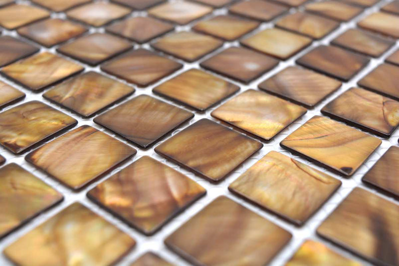 Muschel Mosaikfliese Perlmutt Braun 300x300 mm Schweiz Plättli