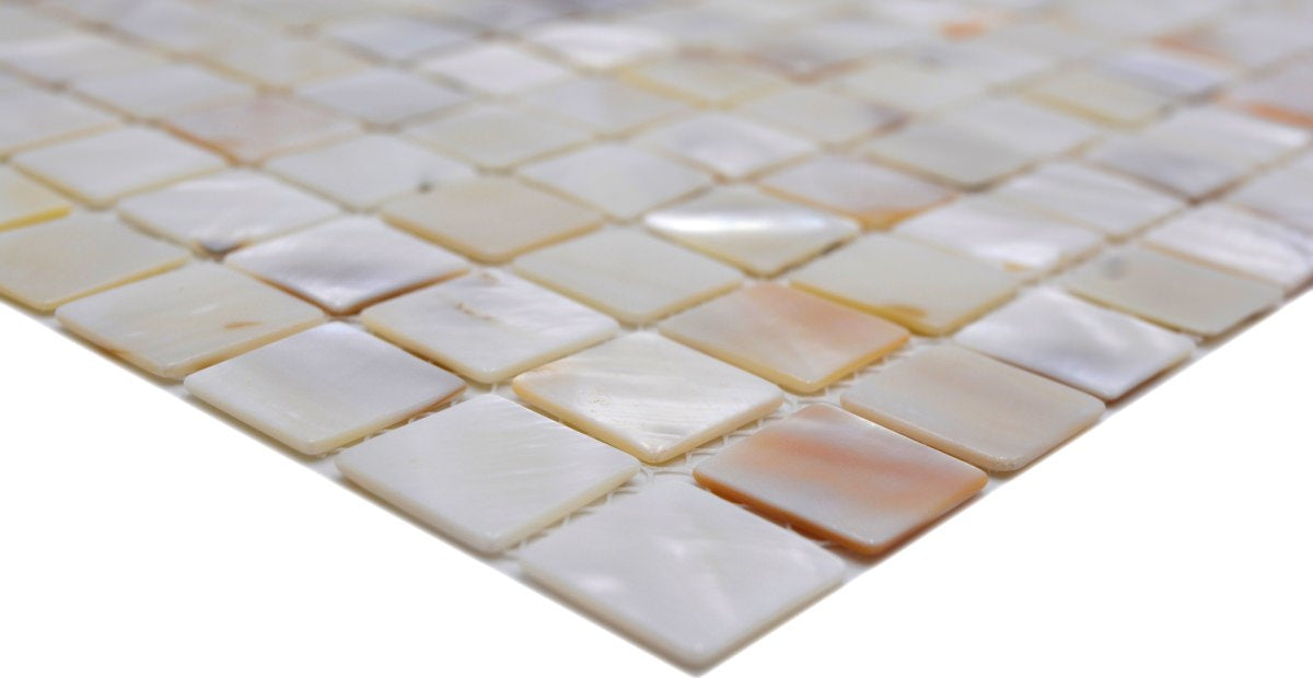 Pearl Muschel Mosaik Plättli Weiss Fliesen Schweiz