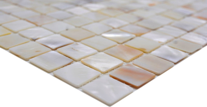 Pearl Muschel Mosaik Plättli Weiss Fliesen Schweiz