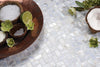 Perlmutt Weiss Fischgräten Muster Mosaik Fliesen
